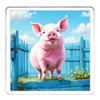 Pink Pig Coaster Set. 4 different Pig Pictures on 10cm
