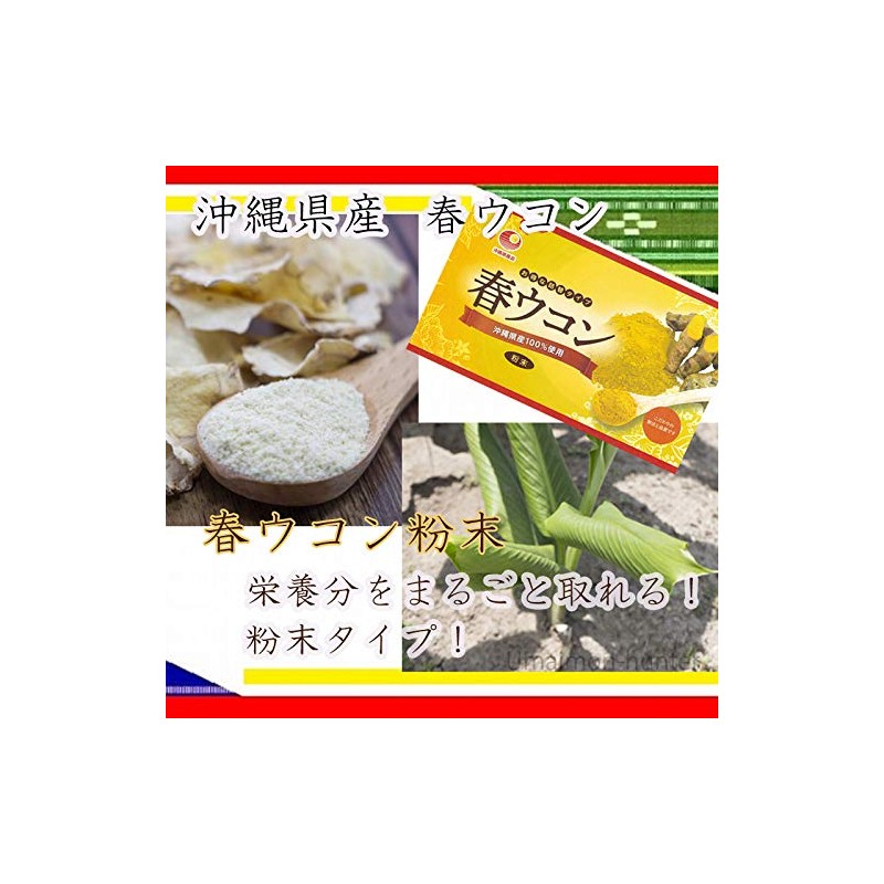 沖縄県産品 春ウコン粉末(袋) 100g