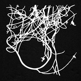 6"x6" Wisteria Vine Small Mask by Trish McKinney