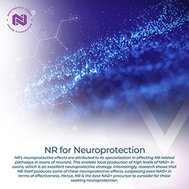 Nootropics Depot Cápsulas de ribósido de nicotinamida | 300 mg | Precursor de NAD+ | 30 unidades | Promueve los niveles de NAD+ | Energía celular