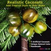 HEYCOLOR 7 FT LED Lighted Palm Tree with Coconuts Outdoor