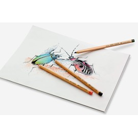 Faber-Castell PITT Single Pastel Pencil, Burnt Umber 280