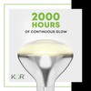 250R40/1 250-Watt, Incandescent R40 Reflector, Clear Head Lamp, Heat Flood