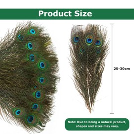JDCMEI 20 Pieces Natural Peacock Feathers, Beautiful Peacock Feathers for Crafts, Peacock Feathers, Long 25-30 cm, Peacock Tail Feathers, Eye Feathers, Decorations for DIY Feather Clothes, Hat, Craft,