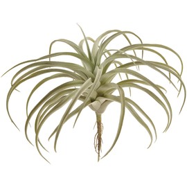 Tokyodo FG001661-015 Artificial Flowers MAGIQ Dominictilandia L Gray Green Leaf L 5.9 x L 10.6 x W 12.6 inches (15 x 27 x 32 cm)