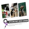 VILLFUL Elastic Dog Walking Leash Led Leash for Dogs for