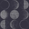 Tempaper Midnight Blue Moons Removable Peel and Stick Wallpaper, 20.5