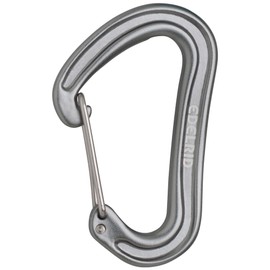 EDELRID Nineteen G II Carabiner (Express Carabiner, Normal Carabiner, Base Carabiner), Colour: Slate