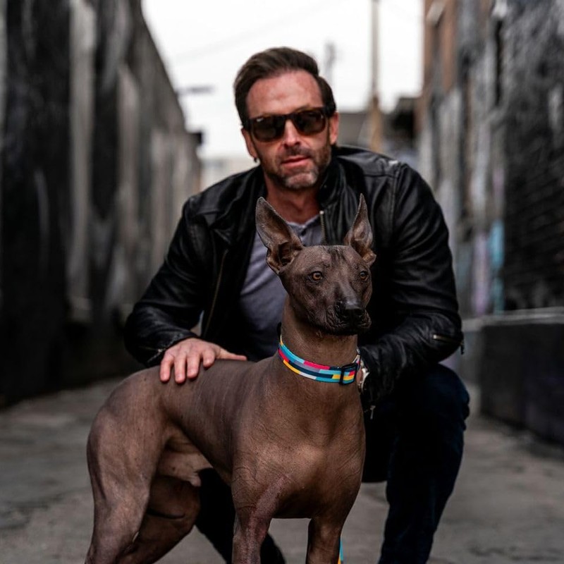 WOLFGANG/Wolfgang MixTape Leash (L Size) Width 1.0 x Length 72.0