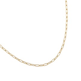 Alex and Ani Paperclip Charm & Layering Necklace