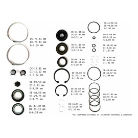 Repuesto Cremallera Ford Explorer 2-puerta 2001 2002