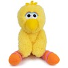 GUND Sesame Street Official Big Bird Take Along Buddy Plush,