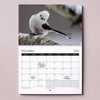 2025 British Birds Wall Calendar Featuring Stunning Photography of Birds
