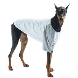 Lucky Petter Dog Cotton Shirts for Small and Large Dogs Raglan T-shirts soft breathable Dog Shirt pet clothes (4X-Large, White/Gray)