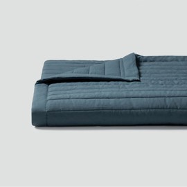 JAJU [JAJU] Cotton Washing Pigment Reversible Pad_SS_Teal Blue