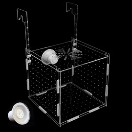 Acrylic Fish breeding Box, Transparent Fish Isolation Box, Fish Separation Box for Aquarium, Hatchery Incubator with Suction for Shrimp Guppy Clownfish Small Fish (5.9 x 5.9 x 5.9Inch)