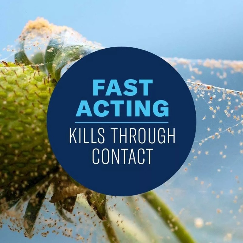 BioAdvanced Set of 2 BioAdvanced Organics Tomato, Vegetable & Fruit