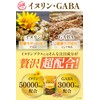 santelife イヌリンプラス イヌリン 高配合50000mg GABA 3000mg 食物繊維 水溶性 菊芋 サラシア