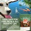 Nualgi Sludge Remover Tablets for Ponds 8.8 oz, Natural Pond