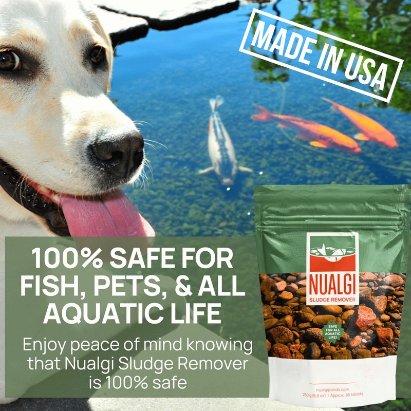 Nualgi Sludge Remover Tablets for Ponds 8.8 oz, Natural Pond