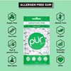 PUR Xylitol Chewing Gum SPEARMINT (55 Pieces, 3 Pack) Sugarless