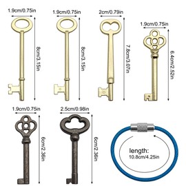 Skeleton Key Set, 6 Pcs Universal Hollow Barrel Skeleton Keys with Wire Rope Keychain, Antique Vintage Key Kit for Vintage Furniture and Locks