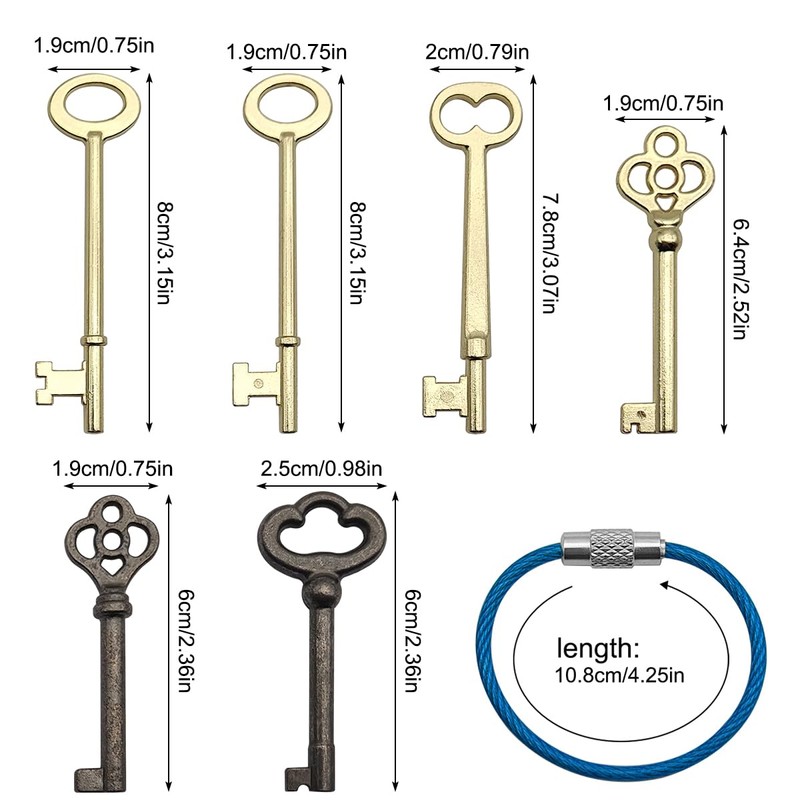 Skeleton Key Set, 6 Pcs Universal Hollow Barrel Skeleton Keys