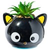 Silver Buffalo Sanrio Chococat Face Mini Ceramic Planter