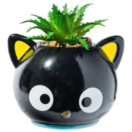 Silver Buffalo Sanrio Chococat Face Mini Ceramic Planter