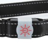LED Pet Glowing Adjustable Safety Rechargeable Collar USB Charging for