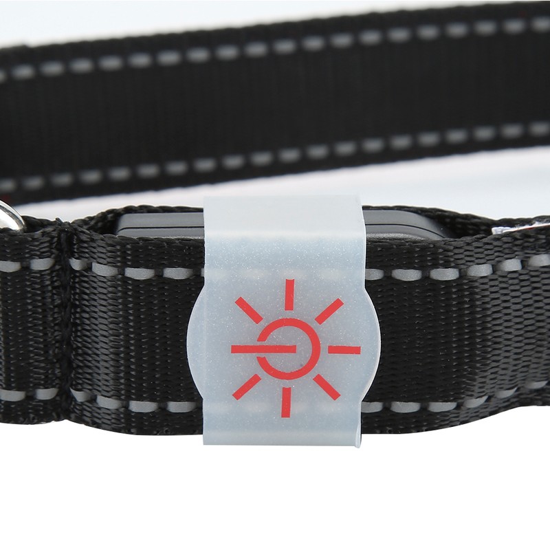 LED Pet Glowing Adjustable Safety Rechargeable Collar USB Charging for