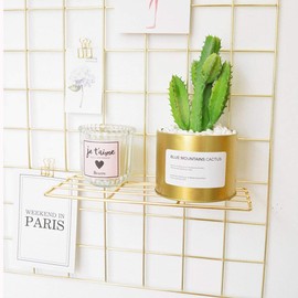 BULYZER Grid Wall Shelves Basket with Hooks,Bookshelf,Display Shelf for Wall Grid Panel,Wall Mount Organizer and Storage Shelf Rack for Office (Gold)