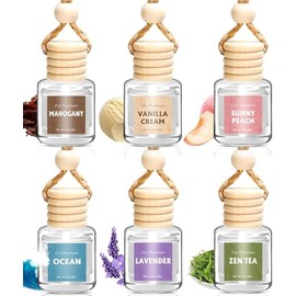 AROIC 6-Pack Car Air Freshener Set - Essential Oil Diffuser