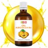 Laborbio Bio Aprikose Kalt Gedrückt Öl 50 ml