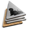 4 x Triangle Coasters - BW - Affenpinscher Black Dog