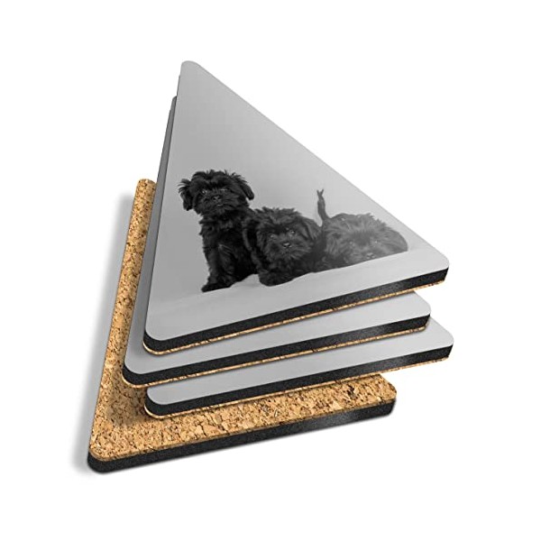 4 x Triangle Coasters - BW - Affenpinscher Black Dog
