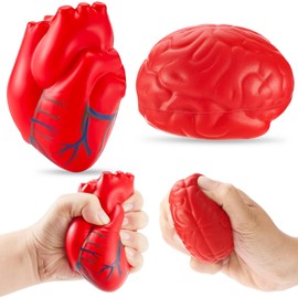Hungdao Anatomy Stress Toy Set 2 Pieces Heart with Brain PU Foam Stress Ball Fake Healthcare Anatomy Ball for Relief (Red)