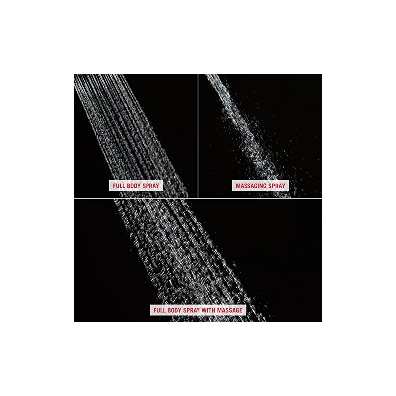 Delta Faucet Peerless 76311D Hand Shower/ Shower Head Combo Pack,