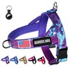 Annchwool No Pull Dog Harness with Airtag Case and Two