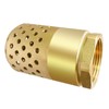 Brass Foot Valve, 2 inch NPT Spring Mesh Check Valve