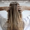 Hair Conditioner 200 ml | Tea Tree Oil + Lemon