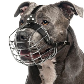 CleverTail Metal Pitbull Muzzle for Large Sized Dog – Basket Muzzle for Dogs with Adjustable Leather Straps – Steel Cage Dog Muzzles to Prevent Biting – Mouth Guard for Large and Medium Pitt Bull