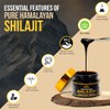Vital Hill Premium Himalayan Shilajit Resin for Men and Women,