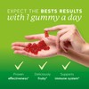 Bears with Benefits Apple Cider Vinegar Gummy Bears - Metabolism