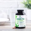 Green Tea Extract Capsules 1000mg 98% Standardized EGCG - 3X