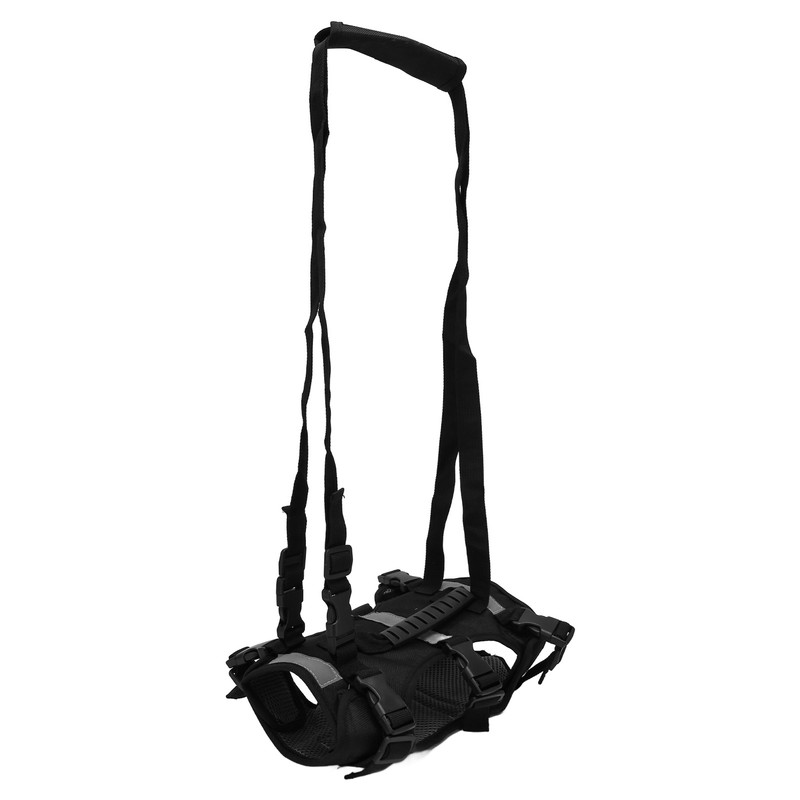 Cat Vest Harnesses Leash Adjustable Breathable Stylish Multifunctional Pet Walking