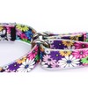 haoyueer Martingale Dog Collar Durable Nylon Adjustable Walking Training Collar