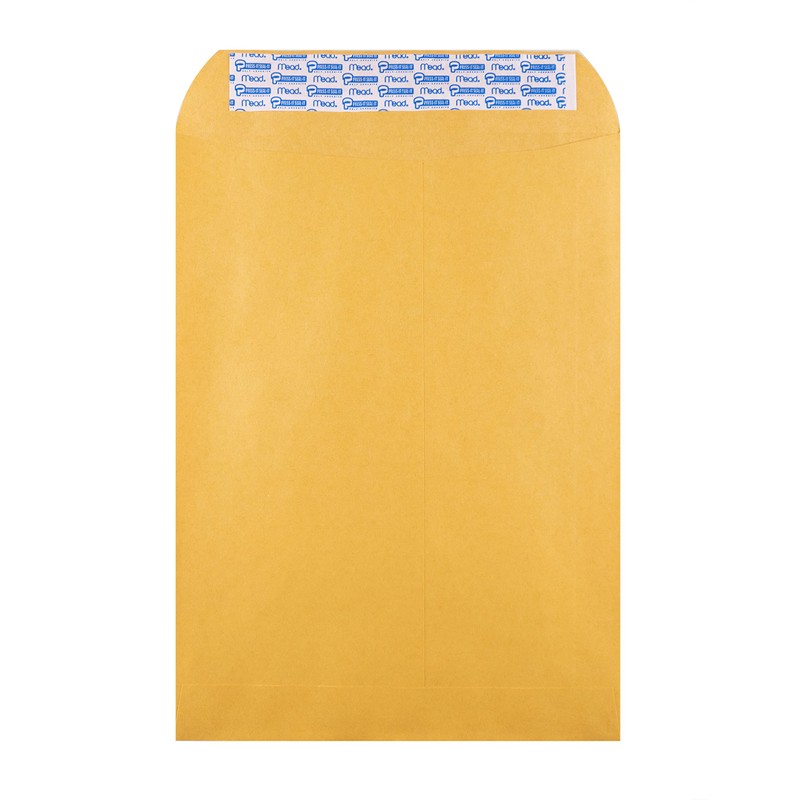 Hilroy Press-it Seal-it Kraft Envelopes, 9 X 12 Inches, 25