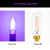 Beonllay Small Base Purple Light Bulb E12 Colored Chandelier Light