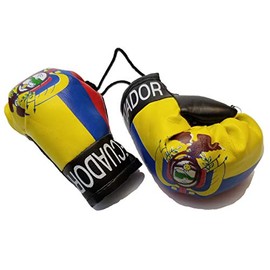 BUNFIREs Ecuador Flag Mini Banner Boxing Gloves Hang Over Rear View Mirror Ecuadorian Country Flag Banner